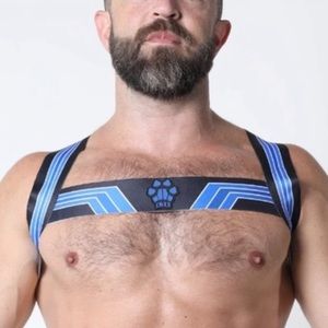 CELLBLOCK 13 Blue Kennel Club Elastic Bandit Harness